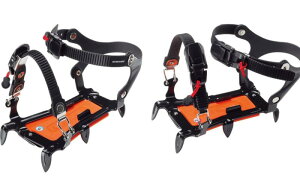 EVERNEW(Goj[) Вߎ6{܃AC[YW AEghAObY\m^ (EBY015)