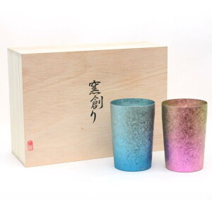 HORIE VY `^2d^u[ qn Cg 270cc i䂢j u[×sN2FZbg T09KM270WDSET