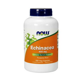 ★楽天Now Foods公式販売店★ エキナセア 400mg 250粒 ベジカプセル ナウフーズ【Now Foods】Echinacea 400 mg 250 Veg Capsules