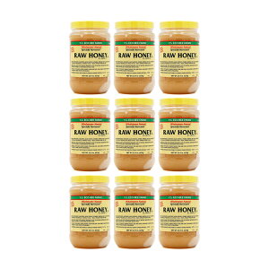 yz9Zbg ANX VR݂͂ [nj[ 623g I A IL@͔|̐ CGXGRr[t@[YyYS Eco Bee FarmszRaw Honey 22 oz US Grade A