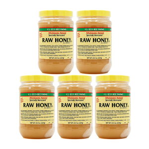 yz5Zbg ANX VR݂͂ [nj[ 623g I A IL@͔|̐ CGXGRr[t@[YyYS Eco Bee FarmszRaw Honey 22 oz US Grade A