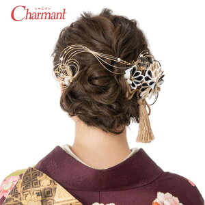  l U Zbg R[ Us wAANZT[ a ANZT[ N V Vo[ AJ w ܎O Ǝ   uC_ I a m uh Charman