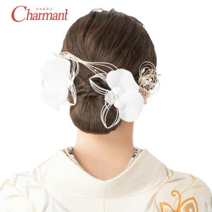  l U Zbg R[ Us wAANZT[ a ANZT[ V Vo[ S[h w Ǝ    uC_ I a m   i`