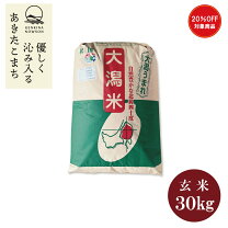 楽天市場】あいちのかおり 玄米 30kgの通販