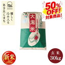 50％OFF！新米予約受付開始！特別栽培米1等あきたこまち30kg玄米　送料無料 令和8年産 紙袋 秋田県産 農家直送 送料無料