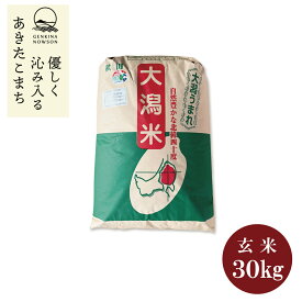 特別栽培米1等あきたこまち30kg玄米　送料無料 令和7年産 紙袋 秋田県産 農家直送 送料無料