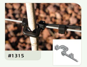 FIXNbv(100/) xƃC[Œ肷Nbv