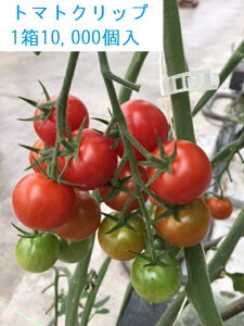 yizg}gNbv 27mm (5,000) Ƃ܂ƗU⏕