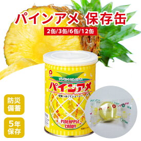 パイン飴 パインアメ パインアメ缶 保存缶 防災食 缶入り 非常食 防災食品 備蓄品 備蓄食 保存食 お菓子 備蓄 長期保存