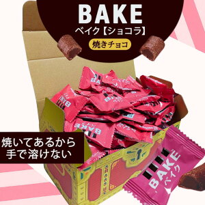 xCN VR Ă`R BAKE  100 `R[g `R ЂƂ`R Xi Xi  َq VFA  e ܂Ƃߔ Ɩp lߍ킹