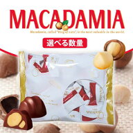 明治 マカダミアチョコレート マカダミアナッツ チョコレート 大容量 マカダミアチョコ 個包装 小分け チ…