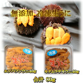 冷凍生うに2種 エゾバフンウニ40g入とキタムラサキウニ40g入 送料無料 生食用