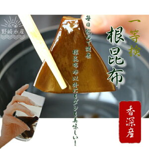 天然利尻根昆布(香深産)1袋 300g入【送料無料】礼文昆布 根昆布の中でも最高級ランクの香深産 1等検 根昆布だけを厳選根昆布水以外にも濃厚なダシが出せる天然利尻根昆布です