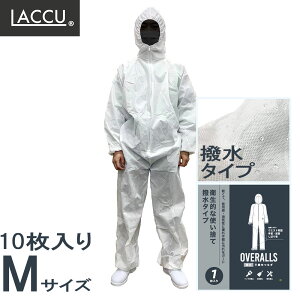 Laccu sDzȂ M 10