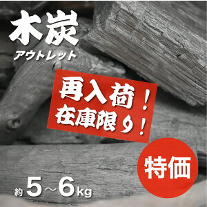 �y���ʌ���z�ؒY �A�E�g���b�g ��5k-6kg �󂠂� �o�[�x�L���[ �L�����v BBQ�p �Y ��e�� ���� �R���� ���~ �h��