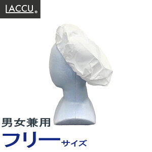 sDzLbv 4HACCP΍ ƒ ĝĕsDz Lbv 򖗑΍ ݌ H ƕ