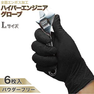 yʃpbNznCp[GWjAO[u [NO[u ɌjgĝĎ OʃG{Xt@6@ubN/IW@߂