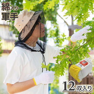 ȍR (12o) 600g 2{7Q[W pR ʍ y | K[fjO H {R