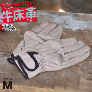 v܃}WbNt zCg v 1o yEdƂɁI~߂X^_[hv܁IϋvɗDꂽvgpƗp ʃe[v~߂Ŏł