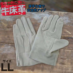 vwD܌ zCg v 1o ϋv߂ƌ̌v܁IϋvɗDꂽvgpƗp Xɑϋv߂錻̂߂̌^CvIv