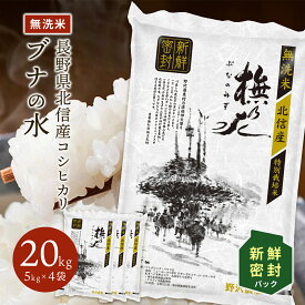 令和6年産 新鮮密封パック 無洗米 コシヒカリ お米 精米 ブナの水 長野県産 こしひかり 特別栽培米 白米 送料無料 ギフト 長期保存 米 10kg 20kg 30kg