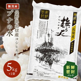 令和5年産 新鮮密封パック 無洗米 5kg コシヒカリ お米 精米 ブナの水 長野県産 こしひかり 特別栽培米 白米 送料無料 ギフト 長期保存 米 10kg 20kg 30kg