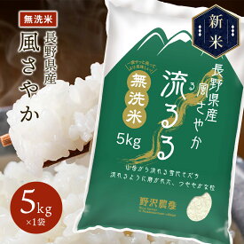 新米 令和5年産 無洗米 お米 精米 白米 風さやか 長野県産 送料無料 ギフト 5kg 10kg 20kg 30kg