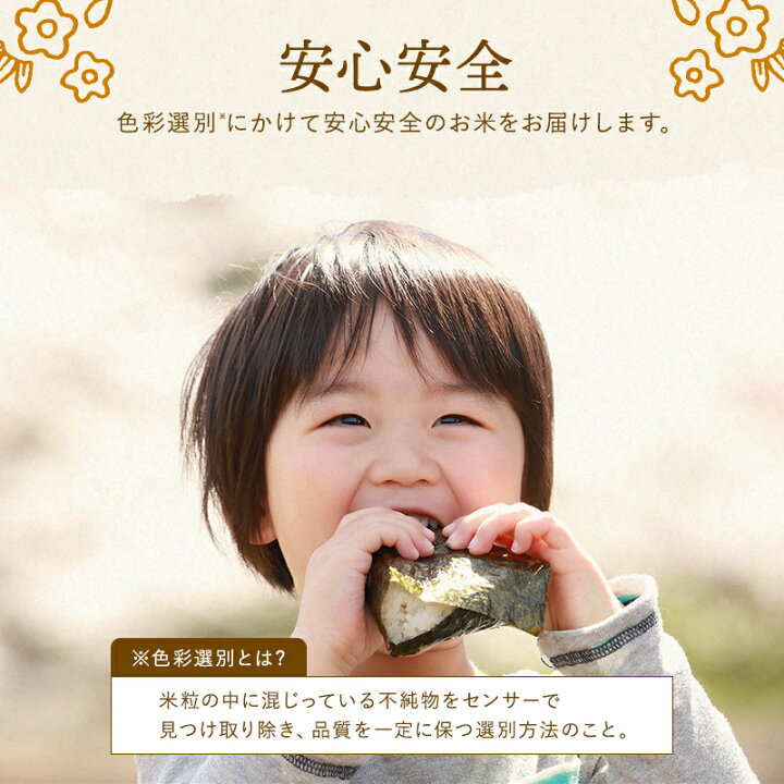 楽天市場】米 定期便 つきあかり 長野県産 令和7年産 米 無洗米 5kg 
