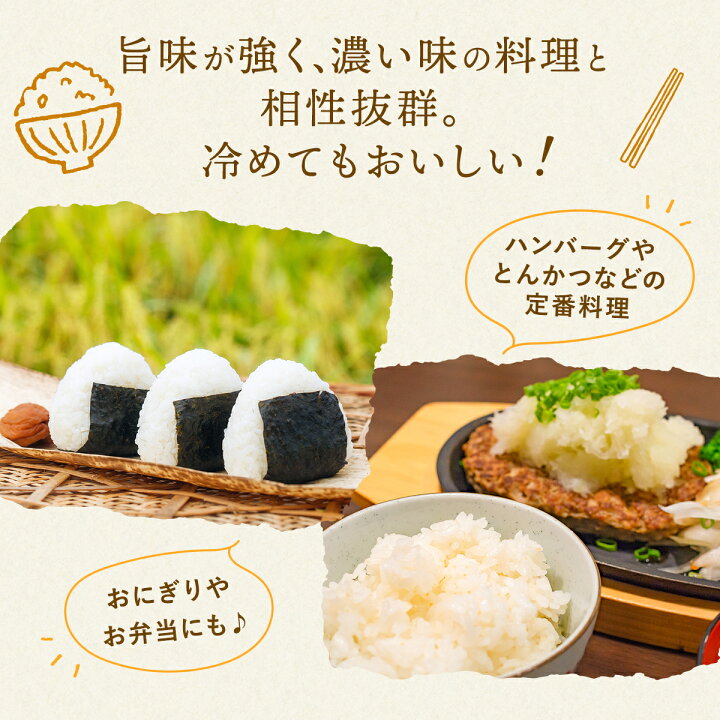 楽天市場】【ポイント10倍 要エントリー】 米 コシヒカリ 長野県産 令 