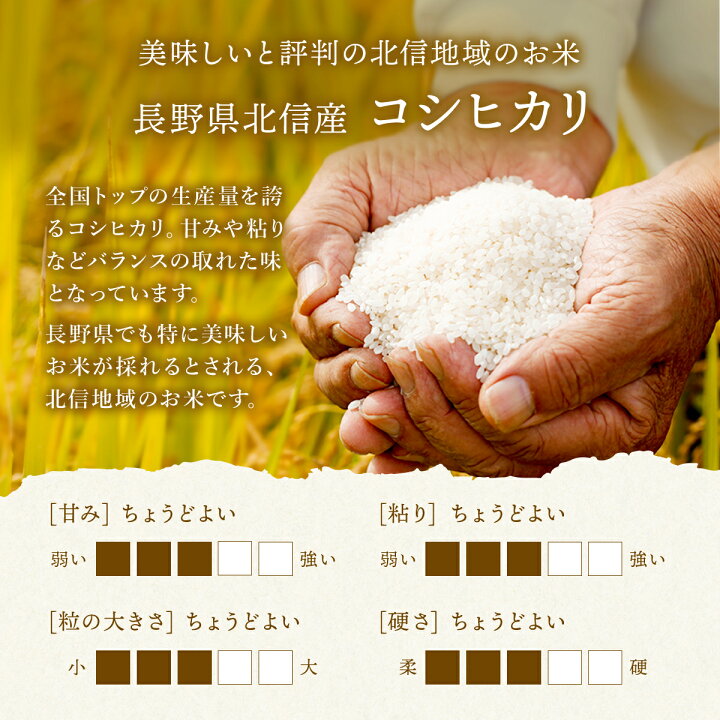 楽天市場】こしひかり 長野県産 北信産 令和6年産 無洗米 米 5kg 10kg  