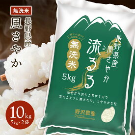 令和5年産 無洗米 5kg お米 精米 白米 風さやか 長野県産 送料無料 ギフト 5kg 10kg 20kg 30kg