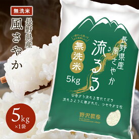 令和5年産 無洗米 5kg お米 精米 白米 風さやか 長野県産 送料無料 ギフト 10kg 20kg 30kg
