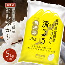 こしひかり 長野県産 北信産 令和6年産 無洗米 米 5kg 10kg 20kg 30kg 白米 お米 精米 ギフト ブランド米 コシヒカリ 送料無料