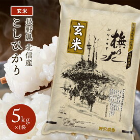 令和5年産 玄米 特別栽培米 コシヒカリ お米 ブナの水 長野県産 北信産 米 こしひかり 送料無料 ギフト 5kg 10kg 20kg 30kg