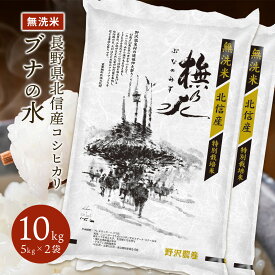 令和5年産 無洗米 コシヒカリ お米 精米 ブナの水 長野県産 こしひかり 特別栽培米 白米 送料無料 ギフト 5kg 10kg 20kg 30kg