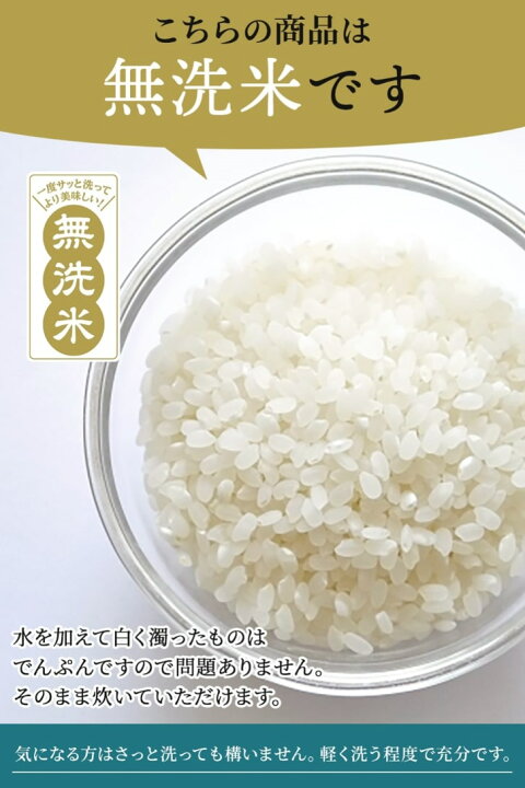 令和6年産 玄米 20kg お米 送料無料 コシヒカリ こしひかり 流るる  