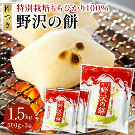 定期便 餅 切り餅 国産 500g 特別栽培米 もちひかり 長野県産 野沢温泉村産 餅 もち 3袋 5袋 10袋 20袋 非常食 保存食 野沢の餅 送料込み 賞味期限2027.4.16