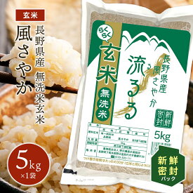 令和5年産 らくらく無洗米玄米 新鮮密封 お米 玄米 風さやか 長野県産 送料無料 ギフト 長期保存 備蓄 5kg 10kg 20kg 30kg