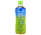 送料無料 【賞味期限2021.03.31】伊藤園 氷水出し 抹茶入りお〜いお茶 600mlペットボトル×24本入 ※北海道・沖縄は配送不可。
