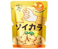 大塚製薬 ソイカラ（SoyCarat） チーズ味 27g×18袋入｜ 送料無料 お菓子 大豆 食物繊維 イソフラボン