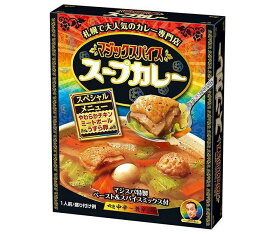 明治 マジックスパイス スープカレー スペシャルメニュー 307g×20個入×(2ケース)｜ 送料無料 カレー レトルトカレー スープカレー レトルト