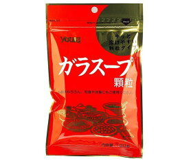 ユウキ食品 ガラスープ 100g×10袋入×(2ケース)｜ 送料無料 一般食品 調味料 出汁 ダシ 素