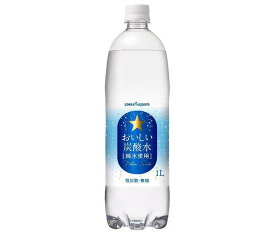 ポッカサッポロ おいしい炭酸水 1Lペットボトル×12本入×(2ケース)｜ 送料無料 炭酸飲料 割り材 PET 1l 1000ml