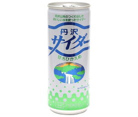 創健社 丹沢サイダー 250ml缶×30本入｜ 送料無料 炭酸飲料 サイダー 缶