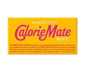 大塚製薬 カロリーメイト ブロック メープル味 1箱(2本入)×60箱入｜ 送料無料 栄養補給 携帯 カロリーコントロール