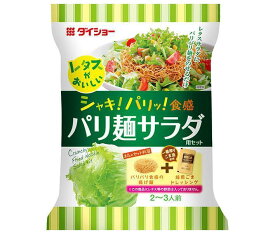 ダイショー レタスがおいしい パリ麺サラダ用セット 95g×10袋入｜ 送料無料 調味料 サラダ用