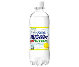 サンガリア 伊賀の天然水 強炭酸水 グレープフルーツ 500mlペットボトル×24本入×(2ケース)｜ 送料無料 炭酸飲料 スパークリング 天然水