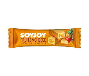 ː SOYJOY(\CWC) t[c&xCNh`[Y 30g×48{×(2P[X)b  ʐHi oXh{Hi