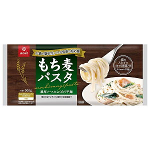 ͂΂ pX^ ˃^Cv 300g×10ܓb  ܖ  ʐHi pX^ 
