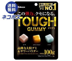 【全国送料無料】【ネコポス】カバヤ タフグミ 100g×6袋入｜ お菓子 グミ 袋 TOUGH 高弾力大粒サワー